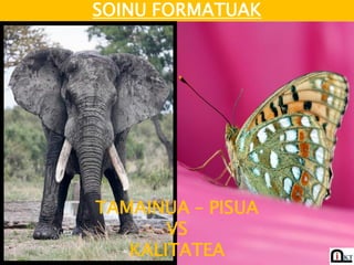SOINU FORMATUAK




TAMAINUA – PISUA
       VS
   KALITATEA
 