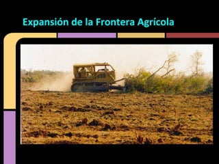 Expansión de la Frontera Agrícola
 