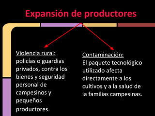 Violencia rural:
policías o guardias
privados, contra los
bienes y seguridad
personal de
campesinos y
pequeños
productores.
Expansión de productores
Contaminación:
El paquete tecnológico
utilizado afecta
directamente a los
cultivos y a la salud de
la familias campesinas.
 