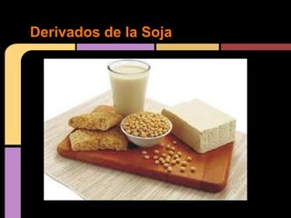 Derivados de la Soja
 