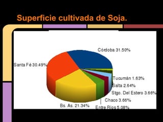Superficie cultivada de Soja.
 