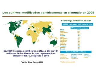 Superficie bajo siembra directa por cultivos en Argentina.
Campañas 1977/78 a 2010/11.
 