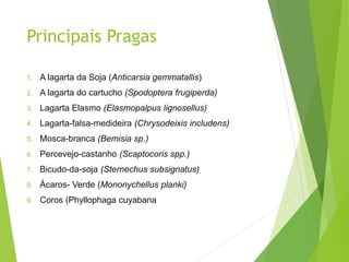 Principais Pragas
1. A lagarta da Soja (Anticarsia gemmatallis)
2. A lagarta do cartucho (Spodoptera frugiperda)
3. Lagarta Elasmo (Elasmopalpus lignosellus)
4. Lagarta-falsa-medideira (Chrysodeixis includens)
5. Mosca-branca (Bemisia sp.)
6. Percevejo-castanho (Scaptocoris spp.)
7. Bicudo-da-soja (Sternechus subsignatus)
8. Ácaros- Verde (Mononychellus planki)
9. Coros (Phyllophaga cuyabana
 