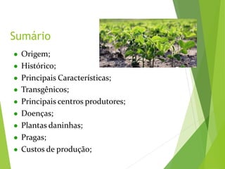 ● Origem;
● Histórico;
● Principais Características;
● Transgênicos;
● Principais centros produtores;
● Doenças;
● Plantas daninhas;
● Pragas;
● Custos de produção;
Sumário
 