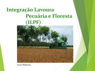 Integração Lavoura
Pecuária e Floresta
(ILPF)
Fonte: Milkpoint.
 