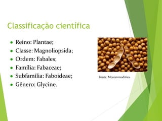 ● Reino: Plantae;
● Classe: Magnoliopsida;
● Ordem: Fabales;
● Família: Fabaceae;
● Subfamília: Faboideae;
● Gênero: Glycine.
Classificação científica
Fonte: Mccommodities.
 