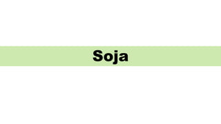 Soja
 