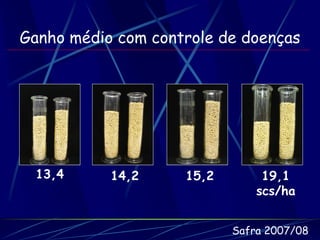 Ganho médio com controle de doenças




 13,4      14,2     15,2        19,1
                               scs/ha


                           Safra 2007/08
 