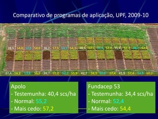 Comparativo de programas de aplicação, UPF, 2009-10




 28,5 54,8 52,5 54,6 36,2 57,5 53,3 54,3 38,5 57,1 55,6 52,8 35,4 52,7 48,7 52,4




37,4 56,8   53,8   56,2 39,7 55,0 52,3 55,8   42,7    58,9 60,6   57,4 41,9 57,4 54,6 60,2


   Apolo                                             Fundacep 53
   - Testemunha: 40,4 scs/ha                         - Testemunha: 34,4 scs/ha
   - Normal: 55,2                                    - Normal: 52,4
   - Mais cedo: 57,2                                 - Mais cedo: 54,4
 