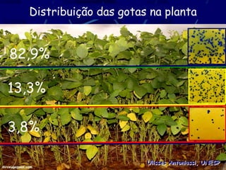 Distribuição das gotas na planta


82,9%

13,3%

3,8%

                        Ulisses Antoniassi, UNESP
 