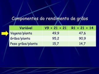 Componentes do rendimento de grãos

     Variável       V9 + 21 + 21   R1 + 21 + 14
Vagens/planta           49,9           47,6
Grãos/planta            95,2           90,9
Peso grãos/planta       15,7           14,7
 