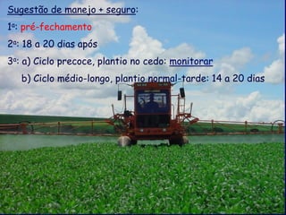 Sugestão de manejo + seguro:
1a: pré-fechamento
2a: 18 a 20 dias após
3a: a) Ciclo precoce, plantio no cedo: monitorar
   b) Ciclo médio-longo, plantio normal-tarde: 14 a 20 dias
 