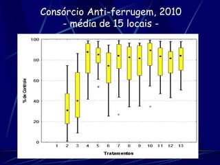 Consórcio Anti-ferrugem, 2010
    - média de 15 locais -
 