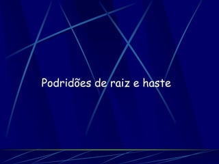 Podridões de raiz e haste
 