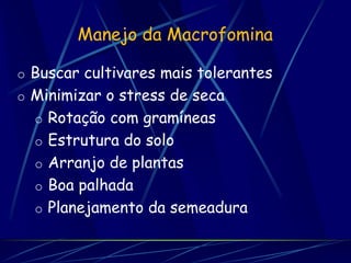Manejo da Macrofomina

o Buscar cultivares mais tolerantes
o Minimizar o stress de seca
  o Rotação com gramíneas
  o Estrutura do solo
  o Arranjo de plantas
  o Boa palhada
  o Planejamento da semeadura
 