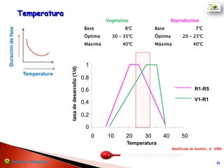 Temperatura
Temperatura
0
0.2
0.4
0.6
0.8
1
0 10 20 30 40 50
tasadedesarrollo(1/d)
R1-R5
V1-R1
Vegetativo
Base 8°C
Óptima 30 - 35°C
Máxima 40°C
Reproductivo
Base 7°C
Óptima 20 - 25°C
Máxima 40°C
Duracióndefase
Temperatura
Modificado de Kantolic, A. 2006Cerealesy Oleaginosas
 