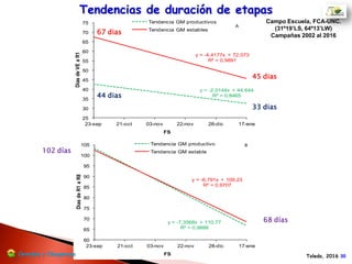 20
25
30
35
40
45
50
55
60
65
70
2-nov 23-nov 16-dic 15-ene
DiasdeVEaR1
FS
GM IV largo GM V corto
GM V largo GM VI
39 dias
59 dias
35 dias
45 dias
97 días
68 días
Tendencias de duración de
etapas Campo Escuela, FCA-UNC.
(31º19’LS, 64º13’LW)
Campañas 2002 al 2017
Toledo, 2017
60
65
70
75
80
85
90
95
100
105
110
2-nov 23-nov 16-dic 15-ene
DiasdeR1aR8
FS
GM IV largo GM V corto
GM V largo GM VI
Cerealesy Oleaginosas
 