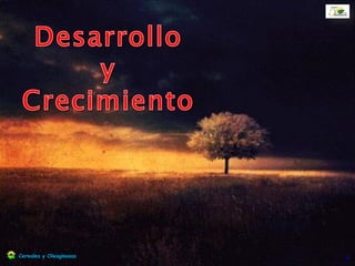 Cerealesy Oleaginosas
 