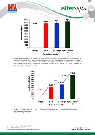 Figura 2:Rendimiento de grano de soja como resultado detratamientos combinados de
inoculación conteniendo Bradyrhizobiumjaponicum (Bj), promotores de crecimiento vegetal y
protectores bacterianos.Pergamino, campaña 2014/15.Las barras de error indican la
desviación standard de la media.
Figura 3:Contribución de Bradyrizobiumjaponicum, Azospirillumbrasilense y
Pseudomonasfluorescens
+ 59,8
+ 236,3
 