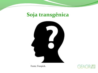 Soja transgênica
Fonte: Freepick.
 