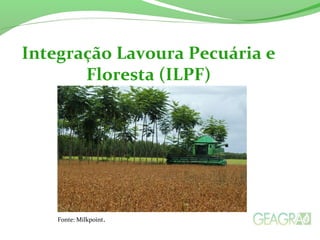 Integração Lavoura Pecuária e
Floresta (ILPF)
Fonte: Milkpoint.
 