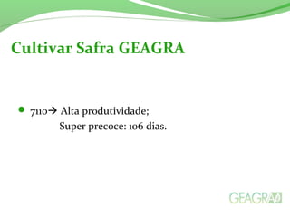 Cultivar Safra GEAGRA
 7110 Alta produtividade;
Super precoce: 106 dias.
 