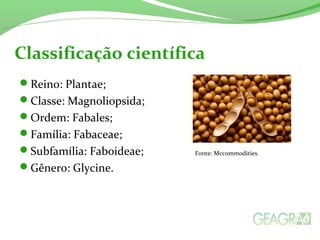 Reino: Plantae;
Classe: Magnoliopsida;
Ordem: Fabales;
Família: Fabaceae;
Subfamília: Faboideae;
Gênero: Glycine.
Classificação científica
Fonte: Mccommodities.
 