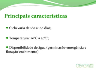 Ciclo varia de 100 a 160 dias;
Temperatura: 20°C a 30°C;
Disponibilidade de água (germinação-emergência e
floração-enchimento).
Principais características
 