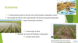 Economia
 A cultura perene pode ter um alto custo inicial quando comparada a outras.
 Necessidade de mão-de-obra especializada e de técnicas de gestão apropriadas
 requer manutenção constante,
 Conservação do Solo
 Redução de Custos de Produção a longo prazo
 Garante renda futura
 