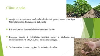 Clima e solo
 A soja perene apresenta moderada tolerância à geada, à seca e ao fogo.
Não tolera solos de drenagem deficiente
 PH ideal para o desenvolvimento em torno de 6,0.
 Exigente quanto à fertilidade, também requer a adubação com
micronutrientes 48 (Zn, Cu, Mo) na sua implantação.
 Se desenvolve bem em regiões de altitudes elevadas
 