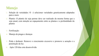 Manejo
1. Seleção de variedades: O é selecionar variedades geneticamente adaptadas
para o meio
2. Plantio: O plantio de soja perene deve ser realizado da mesma forma que a
soja anual, com atenção ao espaçamento entre as plantas e a profundidade do
plantio
3. Fertilização:
4. Manejo de pragas e doenças
5. Poda e desbaste: Remove o crescimento excessivo e promove a aeração e a
penetração da luz.
6. Após 120 dias esta desenvolvida
 
