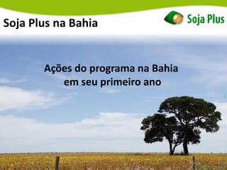 Soja Plus na Bahia
Ações do programa na Bahia
em seu primeiro ano
 