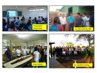 Preparação
para visitas Faz. São Gotardo, MG
Visita ALGAR Faz. ALGAR Farming
 