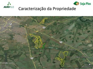 Caracterização da Propriedade
 