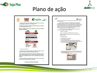 Plano de ação
10
 