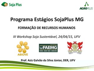 1
Programa Estágios SojaPlus MG
Prof. Aziz Galvão da Silva Júnior, DER, UFV
FORMAÇÃO DE RECURSOS HUMANOS
III Workshop Soja Sustentável, 24/04/15, UFV
 