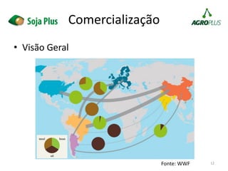 • Visão Geral
12
Comercialização
Fonte: WWF
 
