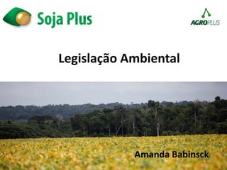 Legislação Ambiental
Amanda Babinsck
1
 