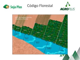 Código Florestal
 