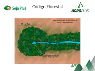 Código Florestal
 