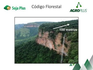 Código Florestal
 