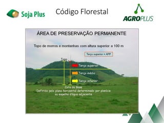 Código Florestal
 