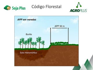 Código Florestal
 