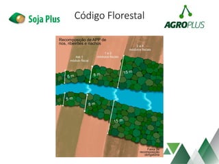 Código Florestal
 
