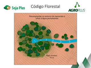 Código Florestal
 