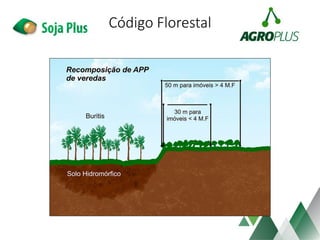 Código Florestal
 