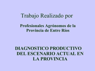 Trabajo Realizado por   Profesionales Agrónomos de la Provincia de Entre Ríos DIAGNOSTICO PRODUCTIVO DEL ESCENARIO ACTUAL EN LA PROVINCIA 