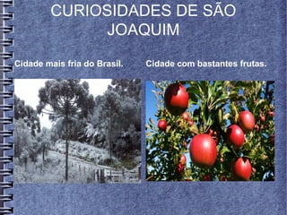 CURIOSIDADES DE SÃO
JOAQUIM
Cidade mais fria do Brasil. Cidade com bastantes frutas.
 