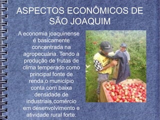 ASPECTOS ECONÔMICOS DE
SÃO JOAQUIM
A economia joaquinense
é basicamente
concentrada na
agropecuária. Tendo a
produção de frutas de
clima temperado como
principal fonte de
renda,o município
conta com baixa
densidade de
industriais,comércio
em desenvolvimento e
atividade rural forte.
 