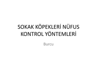 SOKAK KÖPEKLERİ NÜFUS
KONTROL YÖNTEMLERİ
Burcu
 